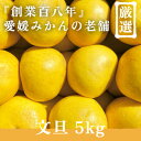 【ふるさと納税】創業百八年 愛媛みかんの老舗【文旦5kg】家庭用【新口農園】【C70-31】_ みかん ミカン 柑橘 フルーツ 果物 くだもの 青果 文旦 ブンタン ぶんたん 産地直送 産直 愛媛 甘い 常温 家庭用 希少 名産地 木成り 完熟 【1470650】