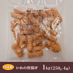 イカ唐揚げ 1kg 250g×4袋 イカ