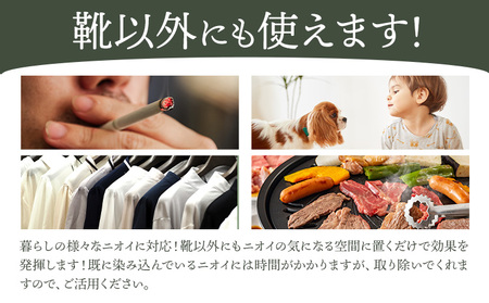インソール 消臭 漆Ｉder A 朱 あらい有限会社《30日以内に発送予定(土日祝除く)》 靴 消臭 漆 長持ち インソール 