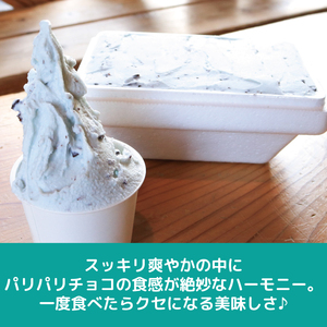 ジェラート イタリアンジェラート チョコミント 500ml