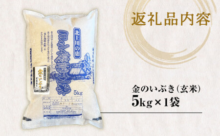 【新米予約】令和6年産 金のいぶき（玄米）5kg