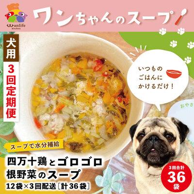 ふるさと納税 四万十市 【3回定期便】四万十鶏とゴロゴロ根野菜のスープ 12袋セット×3回配送(合計36袋)ペットフード26