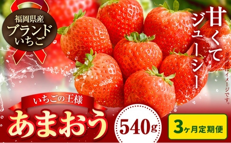 いちご あまおう 先行予約 いちご 大量 540g 選べる発送時期 定期便 フルーツ《2026年1月から出荷開始》苺 旬 くだもの 果物 福岡県 鞍手町