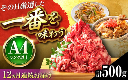 【全12回定期便】博多和牛 切り落とし 500g[BGAB100]牛肉 大容量 牛肉 大容量