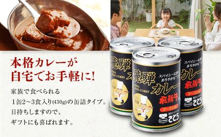 キッチン 飛騨監修 さとうオリジナル 飛騨牛カレー 10缶 飛騨牛入り ビーフカレー 飛騨高山 高山 ご当地カレー 岐阜 999-36-467 ファミリーストアさとう c522