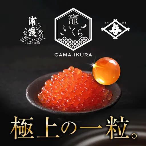 【12月中旬にお届け】竈いくら醤油漬け 200g（200g×1） 鮭卵 いくら 塩竈