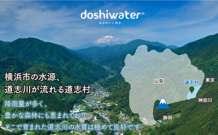 【山梨　道志村の天然水】doshiwater (2L×6袋×2箱)　初回のみ専用ウォーターケース付 DSF002