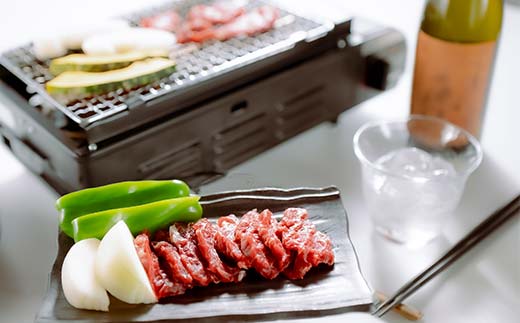 FKP9-668 【桜屋】馬肉焼肉用500g（カット済） 馬 サクラ肉 さくら肉 桜肉 馬肉 肉 食品