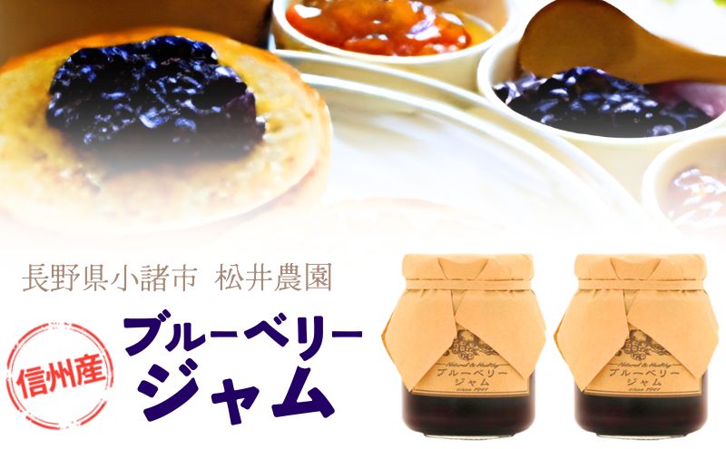 ジャム【ブルーベリージャム（140g）２個セット】ブルーベリー 完熟  果物 ペースト トッピング  トースト ヨーグルト 信州 長野