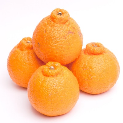 厳選 不知火5kg+250g(傷み補償分)【デコポンと同品種・人気の春みかん】【配送不可地域：離島・北海道・沖縄県】