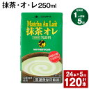 【ふるさと納税】【定期便】【1ヶ月毎5回】抹茶・オ・レ 250ml 計120本 計30L（24本×5回） 抹茶オーレ 抹茶オレ 抹茶ミルク 抹茶 乳製品 乳飲料 クロレラ 緑茶ポリフェノール 飲み物 飲料 常温保存 お取り寄せ 静岡抹茶 朝比奈 熊本県産 菊池市 送料無料