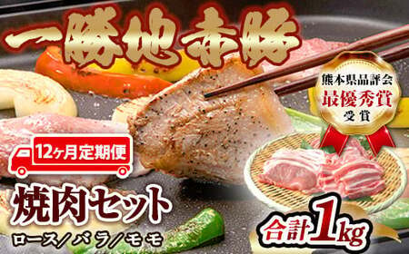  ≪12ヵ月定期≫一勝地赤豚焼肉セット(1kg) FKP9-461