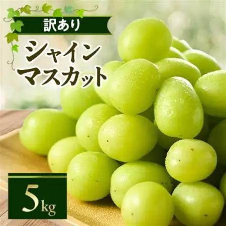 やまなし内藤農園の【訳あり】シャインマスカット 5kg【配送不可地域：離島】【1513206】
