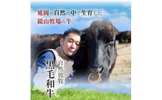 八崎牛の熟成ローススライス　約250g×1　N0105-B069