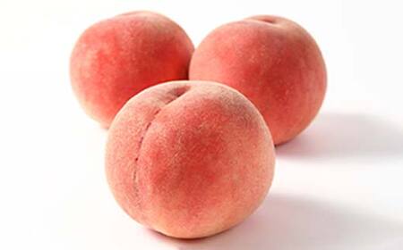 【2025年先行予約】柔らかめ白桃 3kg（7玉～12玉）秀品 FSY-0751