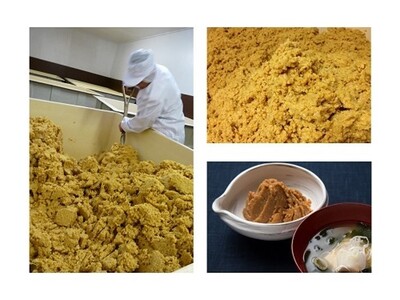 太田屋　イゲタヨ印粒味噌　3点セット　【04203-0753】