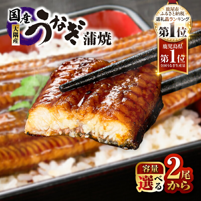 鹿児島県大隅産うなぎ蒲焼(計600g・150g×4尾)たれ・山椒付き！できたてのウナギ蒲焼きを真空パックし急速冷凍でお届け【大隅地区養まん漁業協同組合】