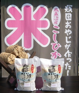 【令和７年産新米予約】6か月定期便　がんこおやじが作った南魚沼産コシヒカリ白米10kg（5kg×2袋）【2025年10月20日頃より順次発送予定】