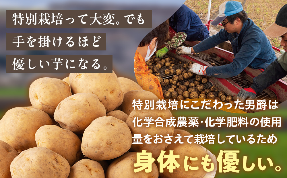 R7年産先行受付 じゃがいも 5kg 特別栽培（男爵） | ジャガイモ 芋 男爵 馬鈴薯 大容量 新鮮 野菜 煮物 カレー シチュー ポテト 保存 特産 産地直送 北海道 津別町 送料無料 5kg