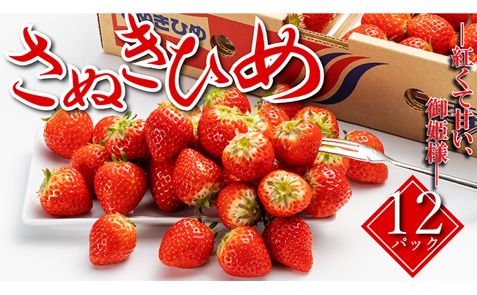 いちご 先行予約 秀品 さぬきひめ 約250g × 12パック 丸亀の紅い宝石 フルーツ 果物 デザート 旬 産地直送 旬の果物 旬のフルーツ お取り寄せ 取り寄せ 冷蔵 冷蔵配送