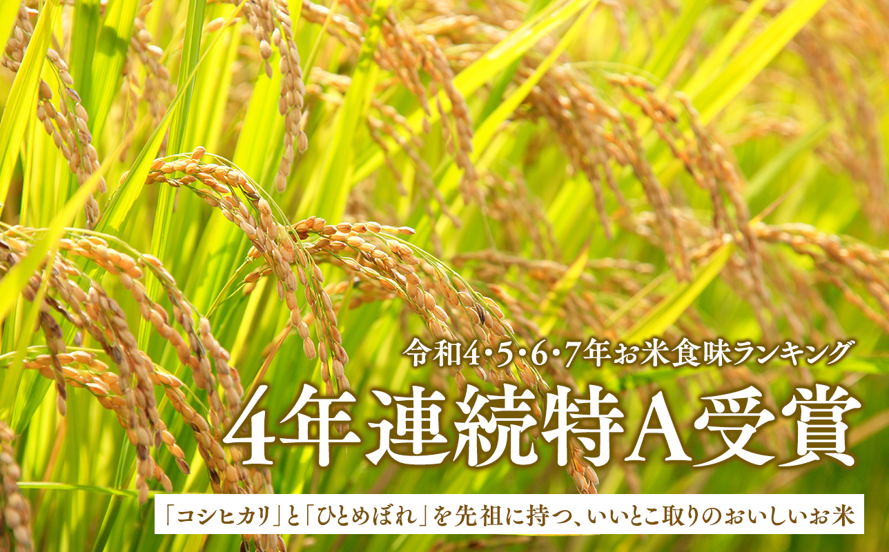 ≪令和8年産 先行予約≫12月中旬よりお届け! 　特別栽培米 はれわたり玄米10kg【青森県 平川市】先行予約 米 お米 玄米 青森県産 産地直送 おにぎり 朝ご飯 冷めてもおいしい ご飯 コメ こめ