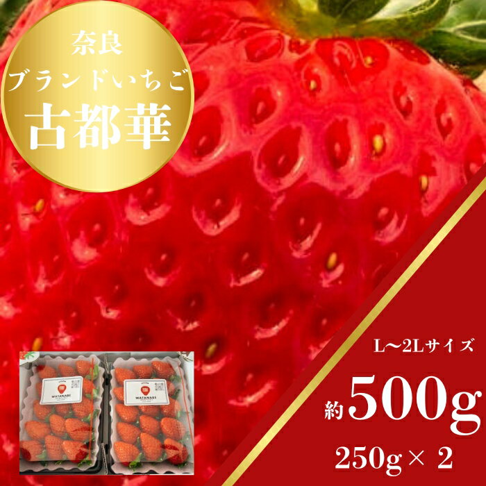 【ふるさと納税】奈良のプレミアムいちご「古都華」500g L〜2Lサイズ2パック いちご 苺 イチゴ ブランド 古都華 大粒 旬 産地 直送 フルーツ 贈答用 プレゼント ギフト 国産 6FARM 奈良県 奈良市 なら 10-099