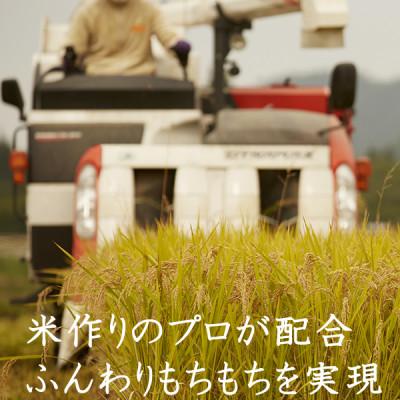 ふるさと納税 村田町 宮城ふるさと応援米 精米10kg ◆宮城県産　米・雑穀のみちのく農業研究所 |  | 02