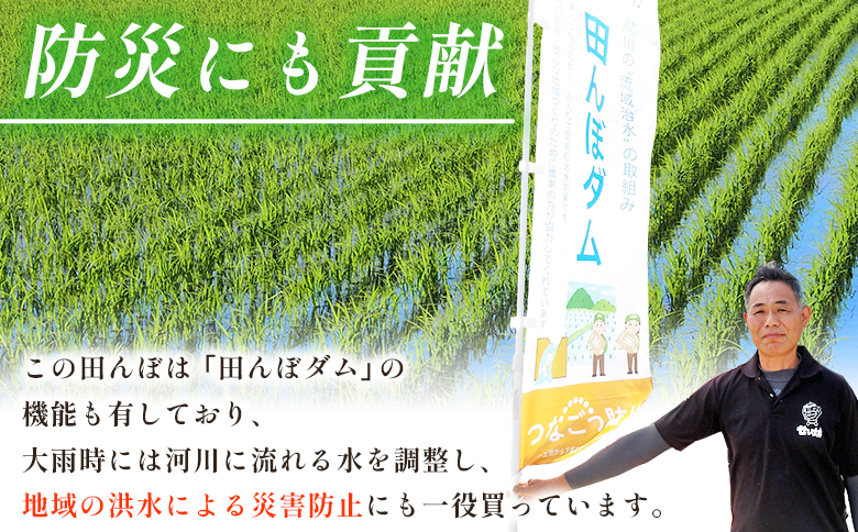 ＜令和8年産 愛媛県西予市産 コシヒカリ 田んぼダム米 5kg 6回定期便＞※最短10営業日以内に第1回目を出荷予定 5キロ こしひかり 西予応援米 宇和米 お米 コメ こめ 白米 精米 米 国産 愛