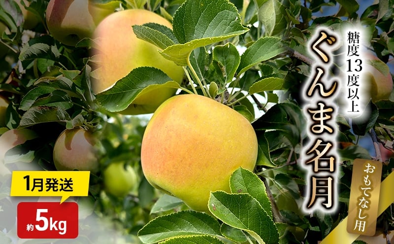 
            りんご【1月発送】糖度13度以上 ぐんま名月 おもてなし用 家庭用 約5kg【青森りんご】
          