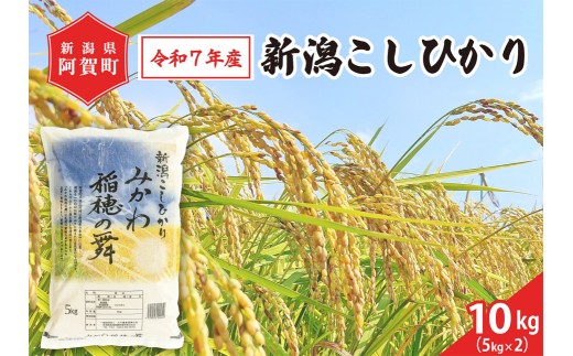 《令和7年産米》 新潟県阿賀町産 コシヒカリ「みかわ稲穂の舞」10kg（5kg×2袋）