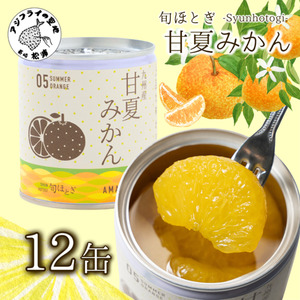 缶詰工場直送　特選果実「旬ほとぎ」甘夏みかん　12缶【B8-030】