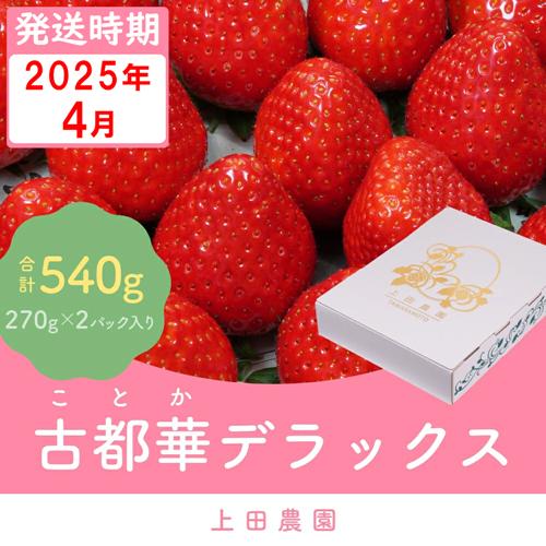 （冷蔵）【４月発送分】イチゴ 奈良県産高級ブランド品種「古都華」デラックス（270g×２パック） ／ 上田農園 苺 いちご 果物 フルーツ 甘い 奈良県 田原本町