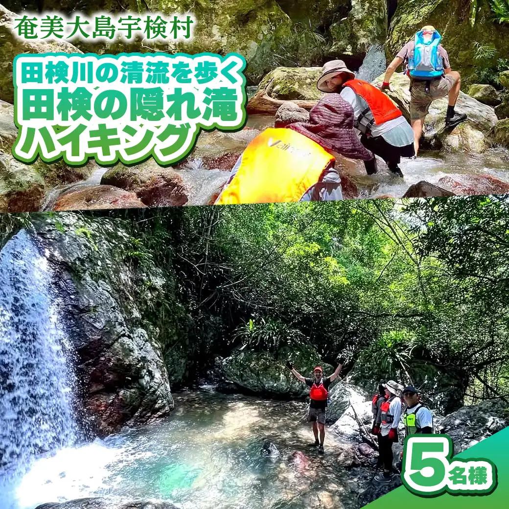 【ツアー可能期間：4月～10月】田検の隠れ滝ハイキング 体験 5名様 奄美大島 宇検村 鹿児島県 旅行 自然 冒険 完全プライベート