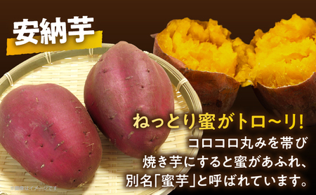 冷やし焼き芋(安納芋) 計2kg さつまいも イモ 野菜 国産_T016-006