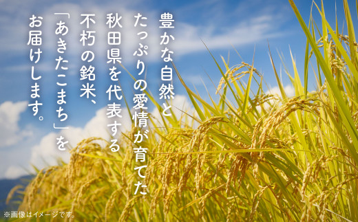 《 3ヶ月定期便 》 あきたこまち 10kg × 3ヶ月 令和7年産 精米 5kg × 2 袋 3回 3ヵ月 秋田県産 米 白米 定期 毎月 お米 コメ ごはん ご飯 ライス 小分け 旬 新鮮 グルメ