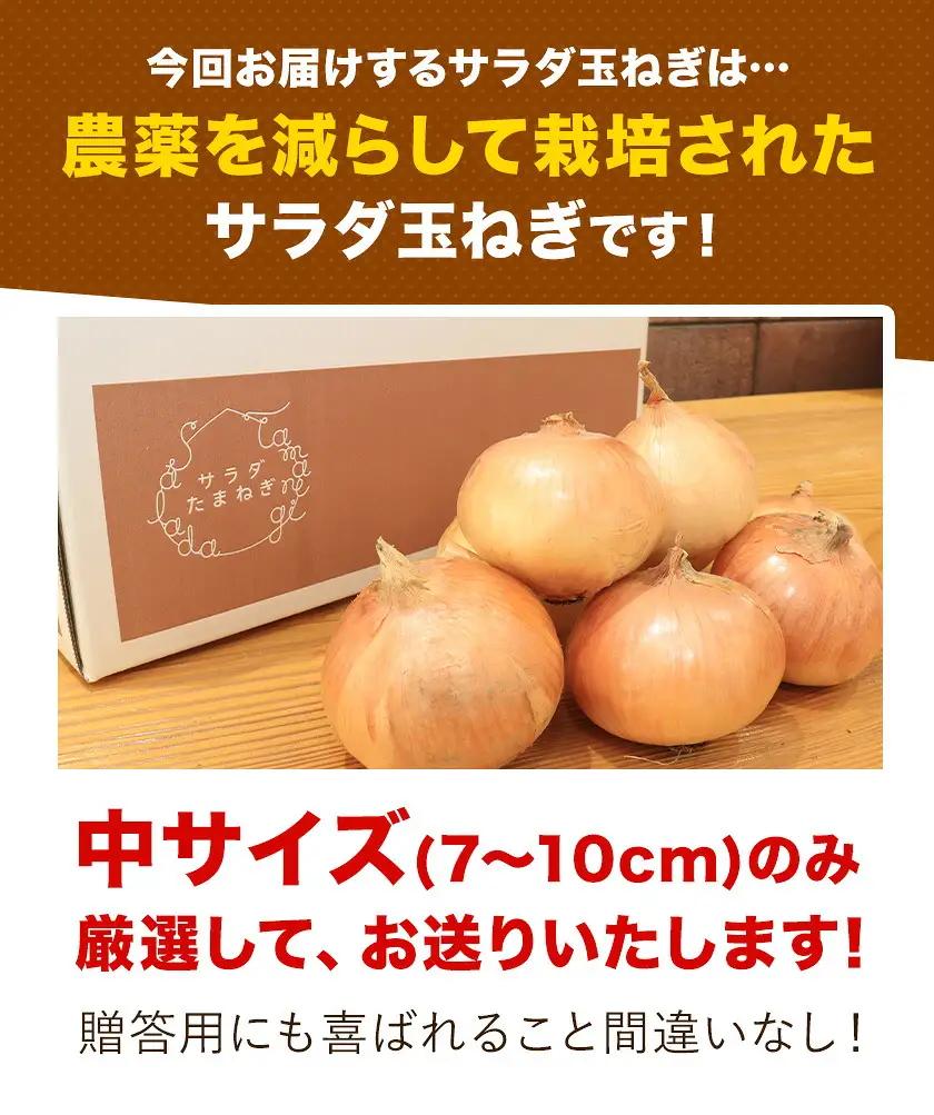玉ねぎ 節減対象農薬 当地比5割減 サラダ玉ねぎ (中サイズ) 3kg 篠原農園