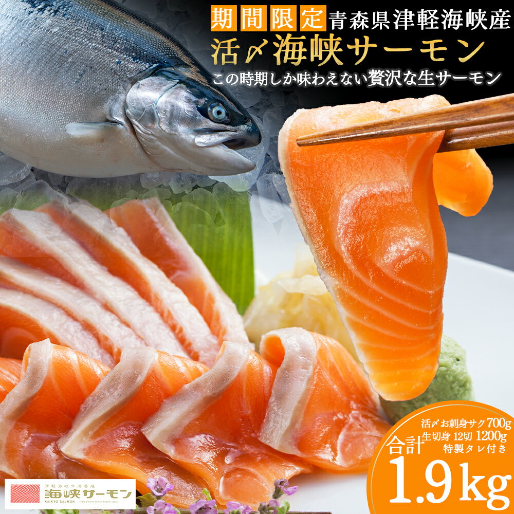 【ふるさと納税】【期間限定発送】活〆海峡サーモン　お刺身さくと生切身A(冷蔵)　特製漬タレ付　むつ市 サーモン 切身 刺身 さく【配送不可地域：離島・沖縄県】サーモン 鮭 さけ サケ 海鮮 刺身 魚 魚介類 国産 切り身 生食