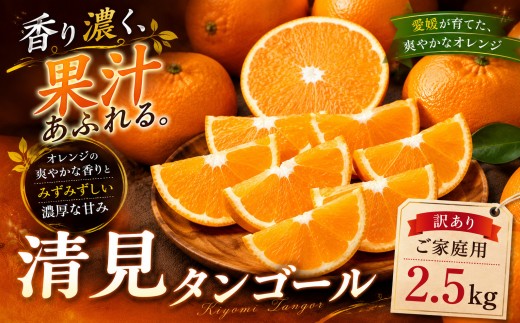 ＜果汁の余韻 愛媛県産清見タンゴール 合計約2.5kg＞『2027年3月上旬～4月中旬迄に順次出荷予定』訳あり きよみ あまい 甘い ミカン 蜜柑 ご家庭用 果汁 果物 くだもの フルーツ オレンジ 柑橘 特産品 極尽道 愛媛県 西予市 【常温】