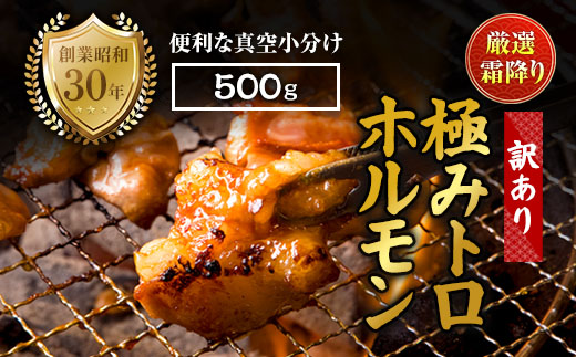 【訳あり】霜降り 極みトロホルモン 500g 秘伝のタレ付き | 国産 訳あり極トロホルモン 訳あり 霜降り ホルモン 冷凍 真空パック 家庭用 ホルモンうどん　八島丹山 京都 舞鶴