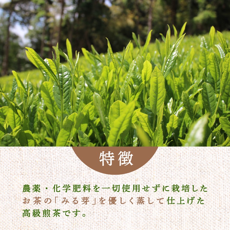  煎茶 No.01 10本 セット 完全有機栽培 有機JAS 高級 熟成 焙煎 有機 オーガニック お茶 日本茶 飲料 小分け 健康 飲み物 贈り物 ギフト 静岡県 藤枝市 