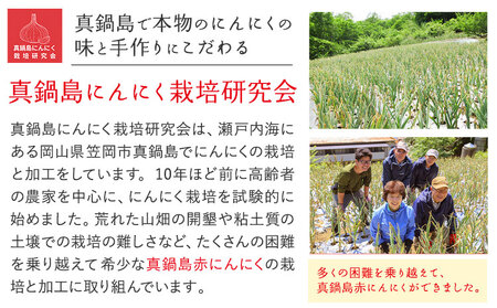 真鍋島赤にんにくオリーブオイルペーストとにんにく卵黄（粉末）のセット 真鍋島にんにく栽培研究会《45日以内に出荷予定(土日祝除く)》