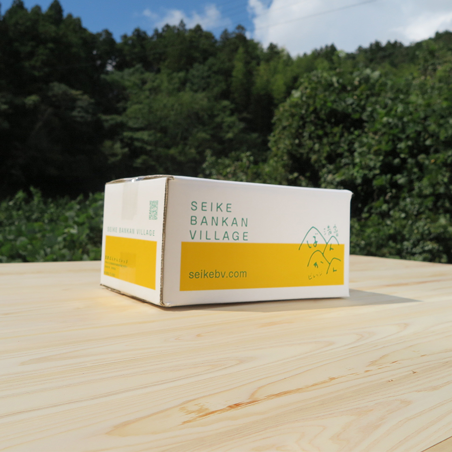 ＜清家ばんかんビレッジ＞「グリーンレモン」特選（M～2Lサイズ）3kg