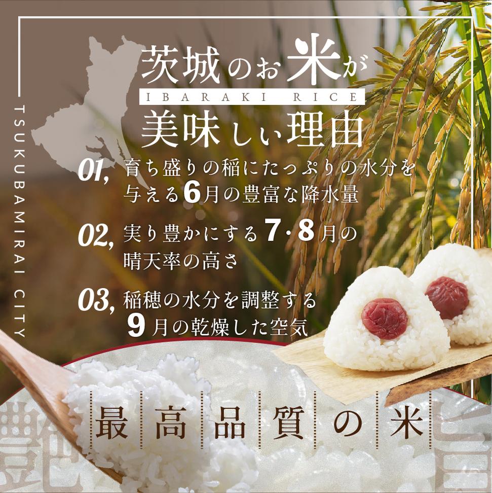 【 最短翌日発送 】【 令和7年産 】 茨城県産 コシヒカリ 10k