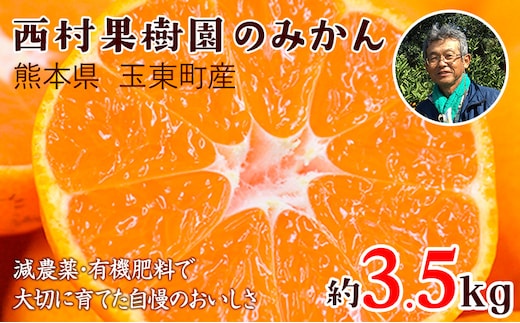 
										
										 『西村果樹園』のみかん★約3.5kg(2S-2Lサイズ) 【日付指定不可】 予約受付中 フルーツ 旬★熊本県玉名郡玉東町 みかん 減農薬・有機肥料で育てた自慢のおいしさ！《10月上旬-1月下旬頃出荷》---sg_nkjmkn_ak101_24_8500_3500g---
									