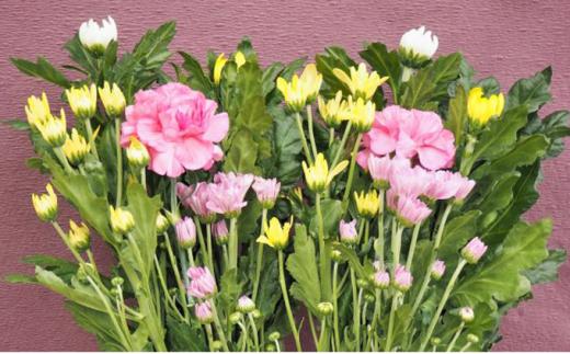 定期便 12回 お供え 生花 組花 毎月 1回 1年 コース お悔み 法事 49日 一周忌 三回忌 お花 法要 四十九日 ペット