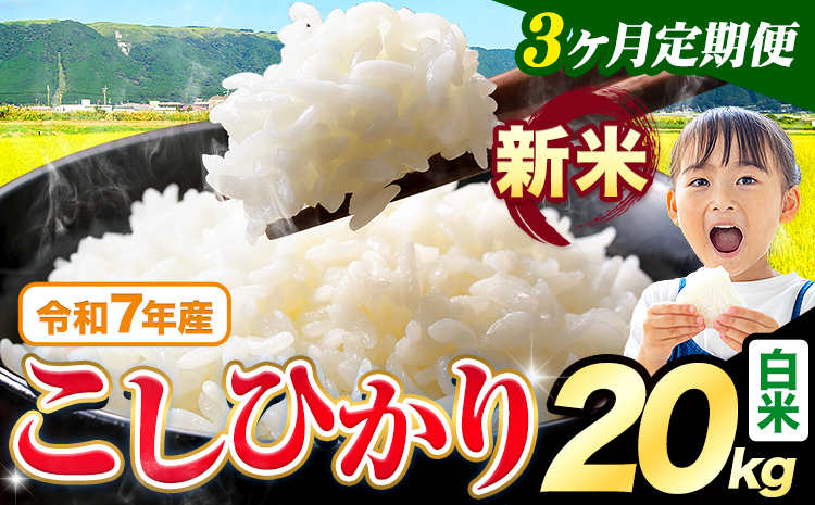 【3ヶ月定期便】令和7年産 新米 白米 こしひかり 20kg《お申込みの翌月出荷》熊本県産 ふるさと納税 白米 精米 ひの 米 こめ ふるさとのうぜい コシヒカリ コメ お米 おこめ---reihoku_loc_48_mo3---