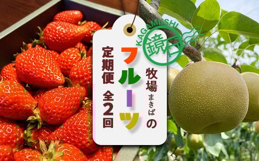 
            【2026年から発送開始】鏡石町 まきばのフルーツ定期便（いちご 約500g・和梨 約3㎏） イチゴ 苺 ナシ なし 福島県 鏡石町 F6Q-417
          