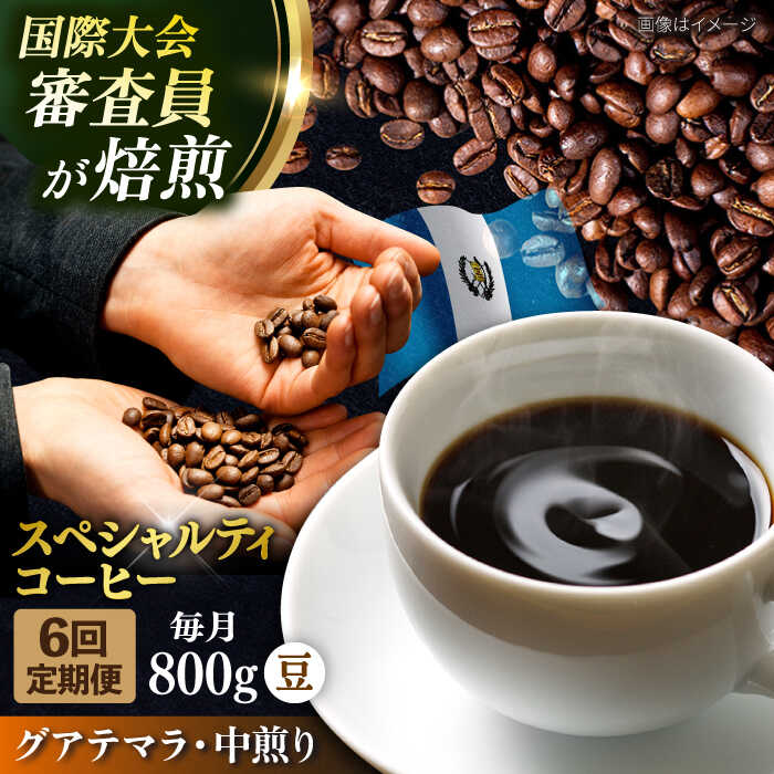 【ふるさと納税】【全6回定期便】コーヒー豆 自家焙煎 中煎り グアテマラ 200g×4 TSUKIKOYA COFFEE ROASTER ツキコヤ 珈琲 コーヒー定期 焙煎 こだわり 横須賀【株式会社RUINS】[AKAD014]