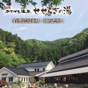 024DA01N.温泉入湯券「天然かさがた温泉せせらぎの湯」11枚綴り
