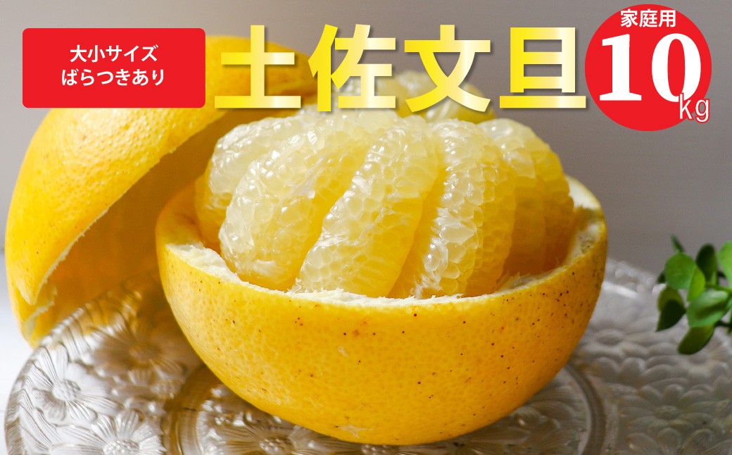 
                  ＜2027年2月～3月頃お届け予定＞　土佐文旦（家庭用）【10kg】
                